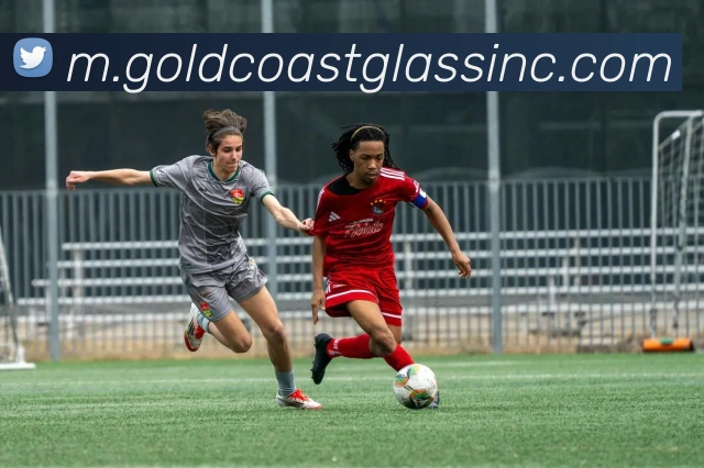 奖项证书